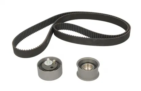 Комплект ременя ГРМ SKF VKMA 01202