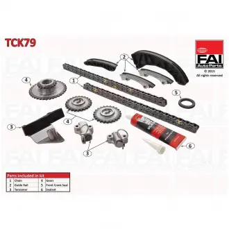 Комплект цепи ГРМ FAI TCK79