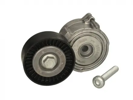 Натяжная планка, поликлиновой ремень AUDI 06E 903 133 INA 534037510