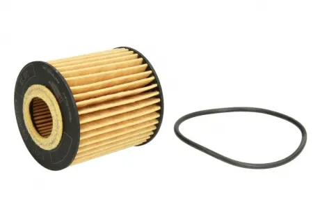 Фільтр масляний двигуна (Hengst) HENGST FILTER E20H D79 (фото 1)