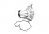 Водяний насос (пр-во Magneti Marelli кор.код. WPQ0678) MAGNETI MARELLI 352316170678