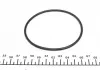 Водяний насос SKODA OCTAVIAII (1Z3), 02/04 - 06/13 1.6 FSI INA 538033710 (фото 6)