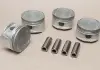 Поршень STD GLOBER 75-3269 (фото 1)