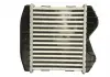 Интеркулер SMART NISSENS 96893 (фото 2)