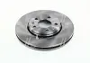 Диск тормозной RENAULT LAGUNA 2.0 07-, GRAND SCENIC 1.2-2.0 09-, MEGANE III 09- передние. (Пр-во REMSA) 61344.10