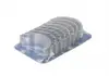 Вкладыши шатунные FORD / PSA 1,6DCi DV6ATED4 / DV6AUTED4 / DV6BUTED4 / DV6CTED4 / DV6TED4 SPUTTER (пр-во KS) 77873610