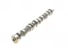 Распредвал IN FIAT / OPEL 169A1.000 / 188A9.000 / 199A2.000 / 199A3.000 / 223A9.000 / Z13DT / Z13DTH (KS) KOLBENSCHMIDT 50007572 (фото 6)