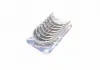 Вкладыши шатунные 0,50 RENAULT / DACIA 1.1 / 1.2 / 1.4 C1E / C1J / C2J / E5F / E6J / E7J / K4M / K7M (KS) KOLBENSCHMIDT 87845628 (фото 2)