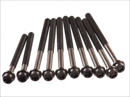 Болт головки блоку (компл.) FORD1.8TDCI C9DA / C9DB / C9DC / FFDA / BHPA / HCPA / HCPB ELRING 027.850