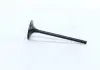 Клапан двигуна IN FORD / MAZDA MONDEO / 5 SEBA / CJBA / CJBB / AODA / LF 35X5.5X103.4 (пр-во AE) V98032
