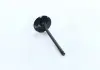 Клапан двигуна IN FORD / MAZDA MONDEO / 5 SEBA / CJBA / CJBB / AODA / LF 35X5.5X103.4 AE V98032 (фото 2)