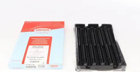 Болт головки циліндрів (компл.) VAG 1.6 / 2.0 AEH / AHL / AEG / APK / AVU / BFQ / CCSA CORTECO 016291B