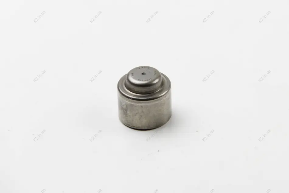 Подшипник опорный, центрирующий сцепления MERCEDES SPRINTER (903-904) 00- (пр-во) SACHS 1863 869 012 (фото 1)