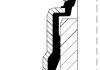 Сальник клапана IN / EX FORD / PSA 2,0-2,2 TDCI 16V 6,0X10,00 / 20,00X18,70 CORTECO 12036506 (фото 1)