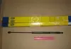 Амортизатор багажника HYUN SANTA FE 00-06 (пр-во Magneti Marelli кор.код. GS0376) 430719037600