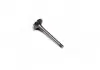 Клапан впускной IN AUDI / VW 1.9D / 2.4D 1Y / AAS / AAB / AGP 36X8X95.6 (пр-во KS) 39123