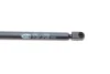 Амортизатор багажника VW Golf V (кор.код. GS0801) MAGNETI MARELLI 430719080100 (фото 4)