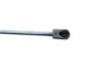 Амортизатор багажника VW Golf V (кор.код. GS0801) MAGNETI MARELLI 430719080100 (фото 5)