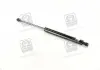 Амортизатор багажника CHEVROLET TACUMA; REZZO (U100) (пр-во PARTS-MALL) PQC-211