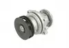 Насос водяний BMW (E36, E46, E39) M50B25, M52B25 (90-00) FEBI 01293 (фото 2)