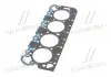 Прокладка головки блока PSA / FORD XD2 4R 1.73MM CORTECO 411319P (фото 2)