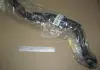 Патрубок радиатора нижний Hyundai Elantra 06- (Mobis) MOBIS (KIA, Hyundai) 254152H001 (фото 2)