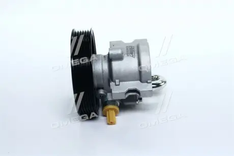 Насос ГУР CHEVROLET AVEO 05- (со шкивом) (1-й сорт) RIDER RD.96535224