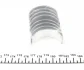 Вкладыши шатунные RENAULT PL STD K9K 1,5TD (пр-во Mahle) MAHLE KNECHT 021 PS 20515 000 (фото 4)