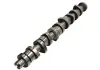 Распредвал VW T5 2.5TDI AXD / AXE / BAC / BLJ / BLK (пр-во AE) CAM916