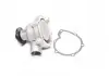 Водяной насос (пр-во Magneti Marelli кор.код. WPQ0039) 352316170039