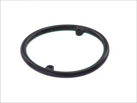 Кольцо уплотняющее масляного радиатора Payen KK5686