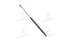 Амортизатор багажника Lacetti HB PARTS-MALL PQC-203 (фото 1)