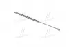 Амортизатор багажника Lacetti HB PARTS-MALL PQC-203 (фото 3)