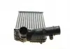 Интеркулер BOXER / JUMPER / DUCATO TD94- Van Wezel 40004183 (фото 3)
