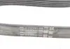Ремкомплект приводного ремня Contitech 6PK1019 ELAST T1 (фото 13)
