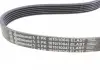 Ремкомплект приводного ремня Contitech 6PK1019 ELAST T1 (фото 8)