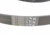 Ремкомплект приводного ремня Contitech 6PK1019 ELAST T1 (фото 9)