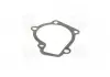 Прокладка помпы HYUNDAI G4GC PARTS-MALL P1H-A003 (фото 4)