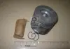 Поршень RENAULT 80,50 F9Q 1,9TD (пр-во Mopart) MOPART 102-75975 02 (фото 1)