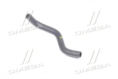 Патрубок расширительного бачка Авео Т250 / вид (к саксофона) GM 96461942