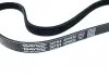 Ремень генератора и водяного насоса Great Wall Safe / Deer DAYCO 1300011-E00 (фото 3)