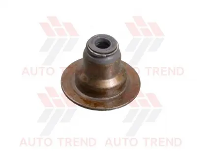 Сальник клапана Chevrolet AVEO, KALOS T250 / CRUZE 16/18 GMDW GM 24405819
