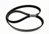 Ремень генератора и кондиционера ЗАЗ Chery Amulet / Forza Aftermarket A11-3701315BA (фото 1)