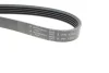 Поликлиновой ремень Poly V® (1253 K 5) HUTCHINSON 1253K5 (фото 3)