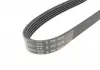 Поликлиновой ремінь Poly V® (1010 K 5) HUTCHINSON 1010K5 (фото 4)