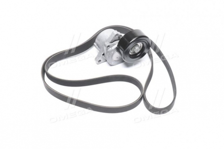 Комплект ремня генератора RENAULT 117208464R