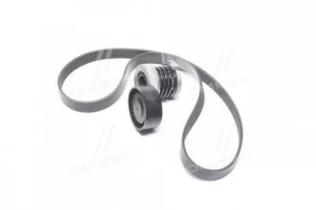 Комплект ремня генератора RENAULT 117202339R