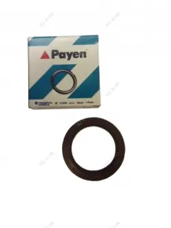 Сальник распредвала Chery Amulet / Karry Payen 480-1006020
