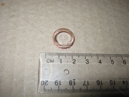 Кольцо уплотнительное NISSAN 1102601M02 (фото 1)