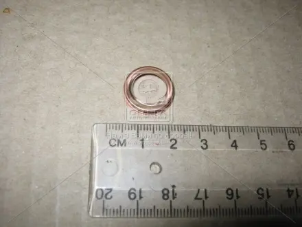 Кольцо уплотнительное NISSAN 1102601M02